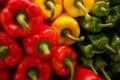 Pimientos rojos, amarillos y verdes frescos y vibrantes, ideales para una dieta saludable y recipes deliciosos en huerto.bio.