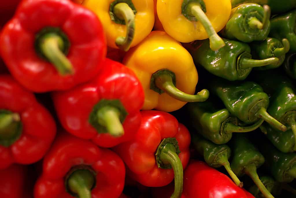 Pimientos rojos, amarillos y verdes frescos y vibrantes, ideales para una dieta saludable y recipes deliciosos en huerto.bio.