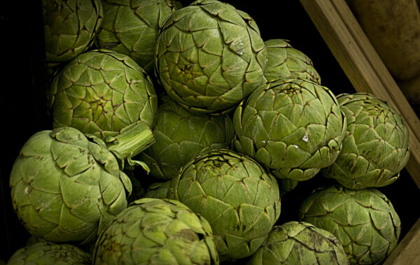 Alimento saludable, espárragos de Jerusalén ecológicos, agricultura orgánica, productos frescos, huerto biológico, vegetales sostenibles.