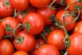 Tomates rojos frescos y maduros en racimo, ideales para agricultura ecológica y huertos biológicos.