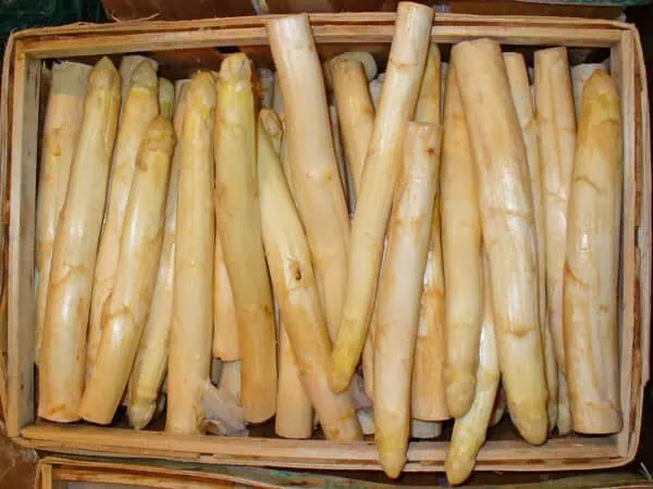 Pile de espárragos blancos frescos en caja de madera.