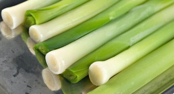 Verduras ecológicas, puerros frescos y orgánicos para cocina saludable y sostenible en Huerto.Bio.