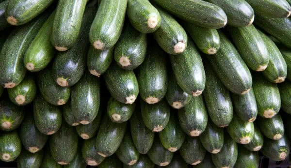 Zucchinis frescos y ecológicos de cultivo orgánico en Huerto.Bio. Comprueba nuestra variedad de hortalizas naturales, saludables y sostenibles para una alimentación consciente y ecológica.