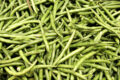 Hierbabuena fresca, hortalizas ecológicas, productos orgánicos, agricultura sostenible, huerto bio.