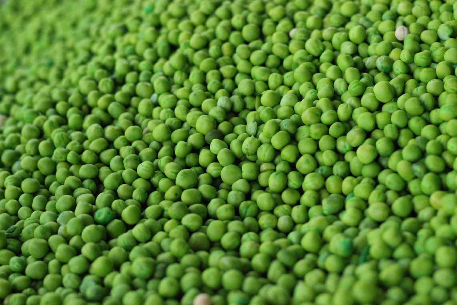 Verduras ecológicas frescas y saludables, ideales para cocinar en casa, en un huerto orgánico certificado. Calidad y sabor garantizado en cada cosecha.