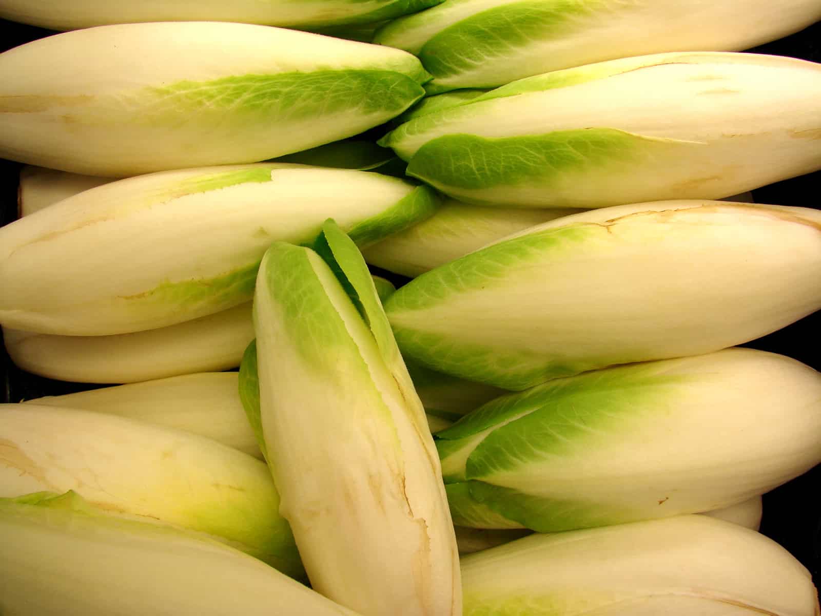 Zanahorias blancas o chalotas de hoja, verduras ecológicas cultivadas de forma natural en huerto bio. Ideales para ensaladas y preparaciones saludables.