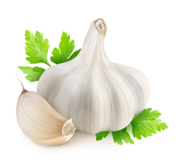 Ajo fresco con hojas verdes y un diente de ajo, ideal para cocina saludable y orgánica en huerto.bio.
