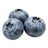 Azulberries frescas, fruta orgánica y saludable, ideal para postres, smoothies y snacks naturales, cultivadas en huertos ecológicos sostenibles.