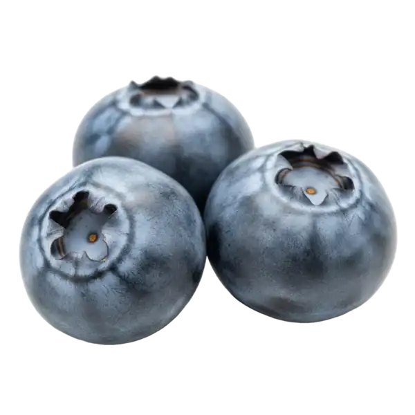 Azulberries frescas, fruta orgánica y saludable, ideal para postres, smoothies y snacks naturales, cultivadas en huertos ecológicos sostenibles.