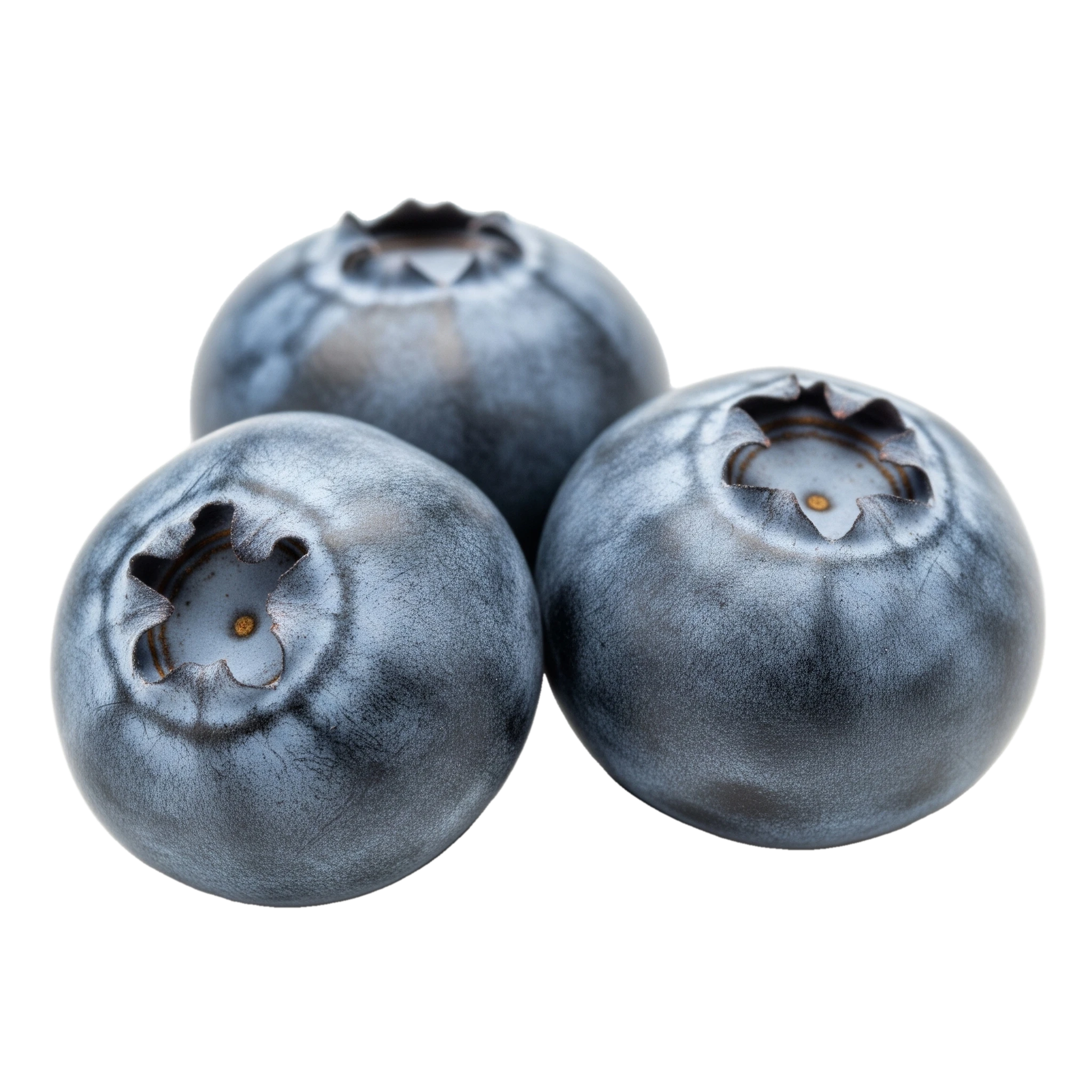 Azulberries frescas, fruta orgánica y saludable, ideal para postres, smoothies y snacks naturales, cultivadas en huertos ecológicos sostenibles.