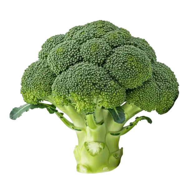 Brócoli: imagen 1