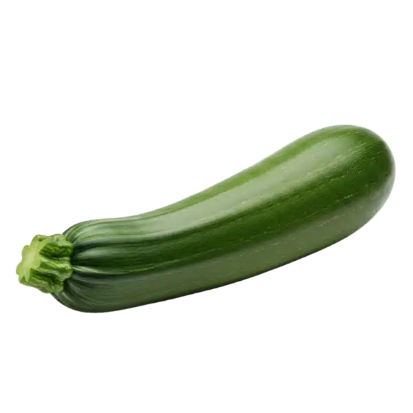 Día de pepino fresco y saludable en huerto.bio.