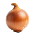Cebolla de cultivo ecológico en tonos dorados y anaranjados, símbolo de huerto orgánico y salud.