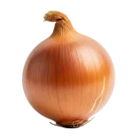 Cebolla de cultivo ecológico en tonos dorados y anaranjados, símbolo de huerto orgánico y salud.