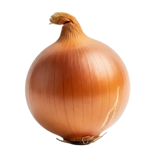 Cebolla de cultivo ecológico en tonos dorados y anaranjados, símbolo de huerto orgánico y salud.