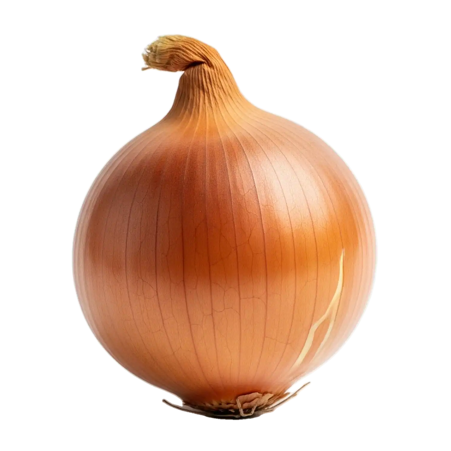 Cebolla de cultivo ecológico en tonos dorados y anaranjados, símbolo de huerto orgánico y salud.