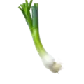 Cebolleta