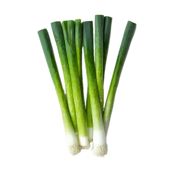 Cebolla de verdeo ecológica frescura y calidad para cocinar en casa, cultivada sin productos químicos en Huerto.Bio.