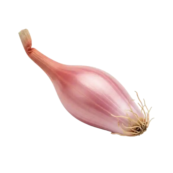 Cebolleta fresca orgánica, ingrediente para cocina saludable, cultivo ecológico, huerto.bio.