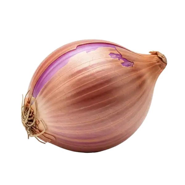 Cebolla madura y fresca en huerto orgánico, cultivo sostenible, alimentos saludables y ecológicos, huerto.bio seguro y natural para una alimentación consciente.