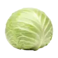 Verdura de col lombarda ecológica fresca y crujiente, cultivada en huertos orgánicos para una alimentación saludable y sostenible.