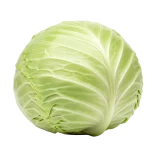 Verdura de col lombarda ecológica fresca y crujiente, cultivada en huertos orgánicos para una alimentación saludable y sostenible.