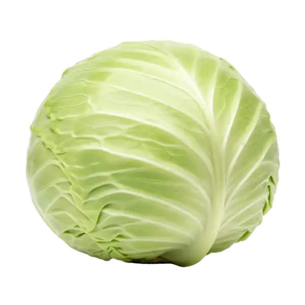 Verdura de col lombarda ecológica fresca y crujiente, cultivada en huertos orgánicos para una alimentación saludable y sostenible.