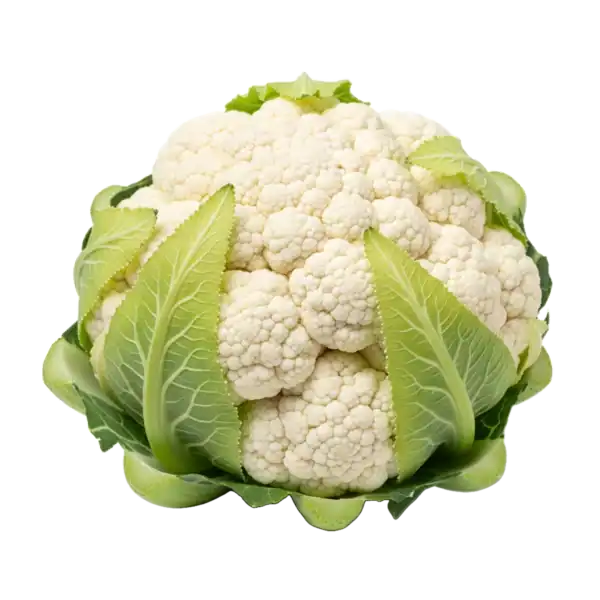 Una cabeza de coliflor blanca y fresca con hojas verdes, ideal para una alimentación saludable y orgánica. Perfecta para recetas vegetarianas y veganas, cultivada de forma ecológica en huertos bio.