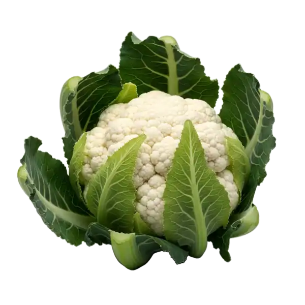 Coliflor: imagen 2