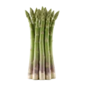 Asparagus ecológico de huerto bio en primer plano, verde y fresco, ideal para una alimentación saludable y natural, cultivado sin pesticidas ni agentes químicos.