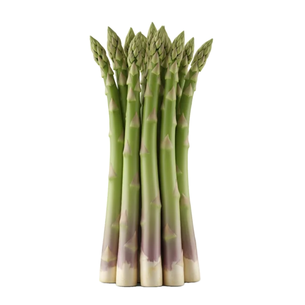 Asparagus ecológico de huerto bio en primer plano, verde y fresco, ideal para una alimentación saludable y natural, cultivado sin pesticidas ni agentes químicos.