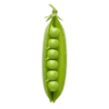 Guisante de olor ecológico en vaina verde, alimento saludable y orgánico para cocina natural, elaborado con semillas certificadas para agricultura sostenible.