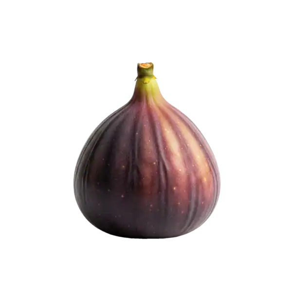 Fichi de vino orgánico en la huerta ecológica, cultivo sostenible y sin pesticidas, ideal para una alimentación saludable y respetuosa con el medio ambiente.