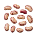 Semillas de judía pintadas de color beige y rojo, aptas para siembra ecológica y cultivo en huertos sostenibles, variedad resistente y nutritiva.
