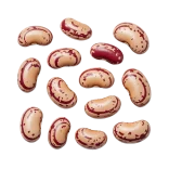 Semillas de judía pintadas de color beige y rojo, aptas para siembra ecológica y cultivo en huertos sostenibles, variedad resistente y nutritiva.