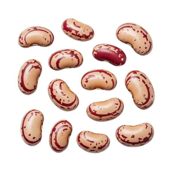 Semillas de judía pintadas de color beige y rojo, aptas para siembra ecológica y cultivo en huertos sostenibles, variedad resistente y nutritiva.