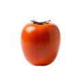 Tomate maduro de cultivo ecológico, destacado en huerto.bio, ideal para alimentación saludable y recetas naturales.