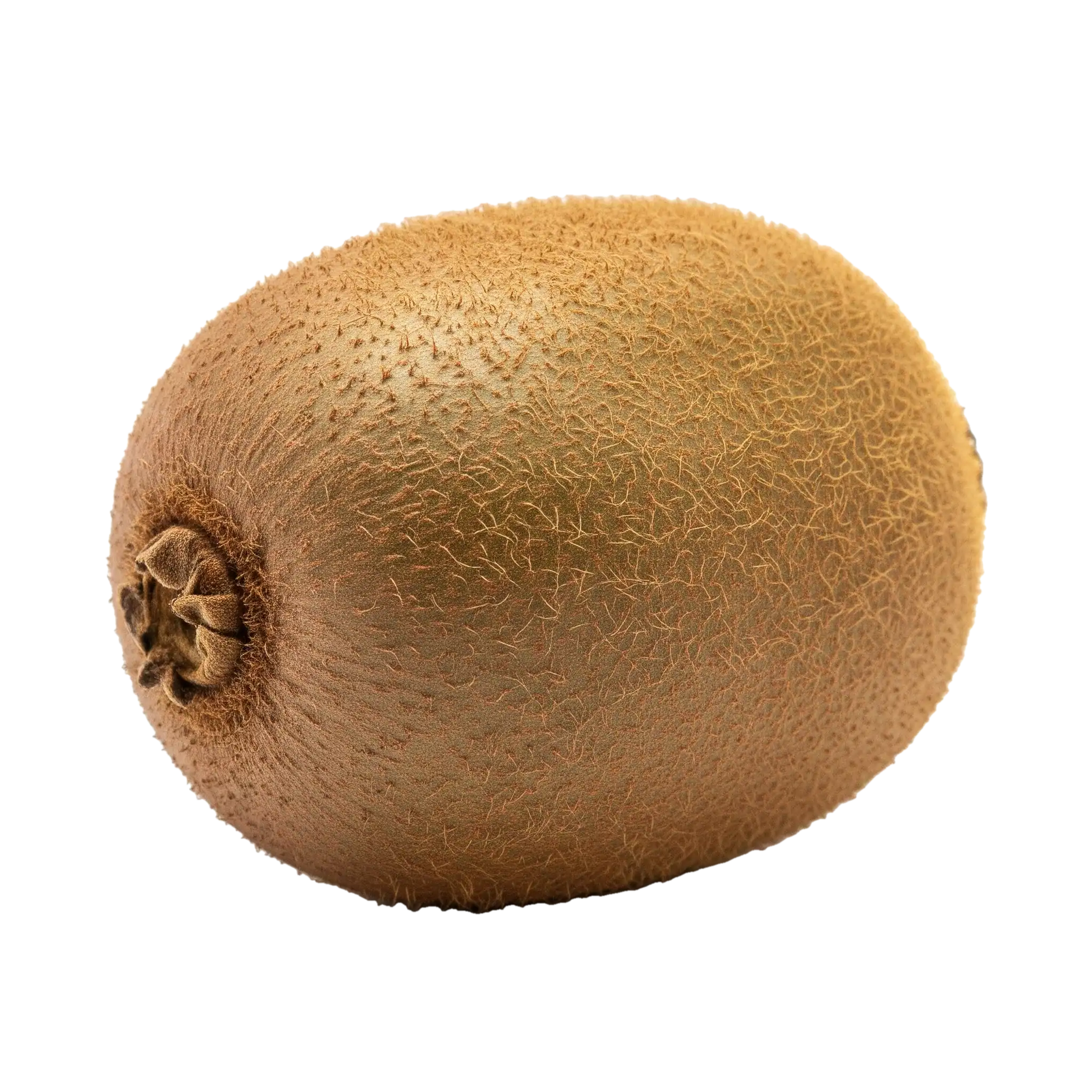 Kiwi: imagen 3
