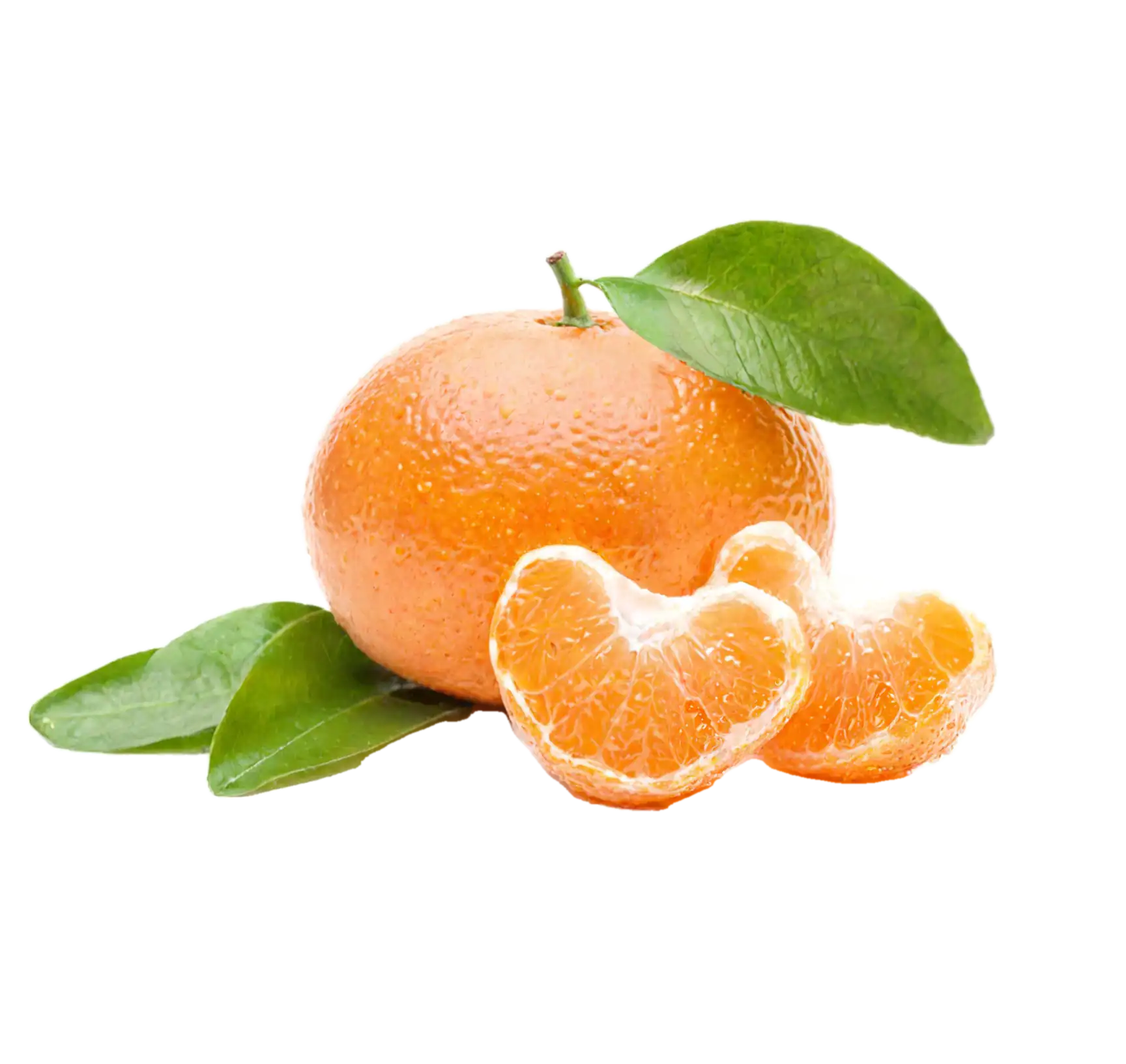 Mandarina: imagen 3
