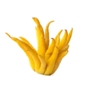 Piel de fruta amarilla de mango fresca y jugosa, cortada en tiras largas y delgadas. Ideal para preparar jugos, postres o disfrutar como snack saludable. Rico en vitaminas y sabor tropical.