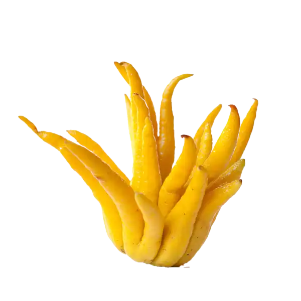 Piel de fruta amarilla de mango fresca y jugosa, cortada en tiras largas y delgadas. Ideal para preparar jugos, postres o disfrutar como snack saludable. Rico en vitaminas y sabor tropical.