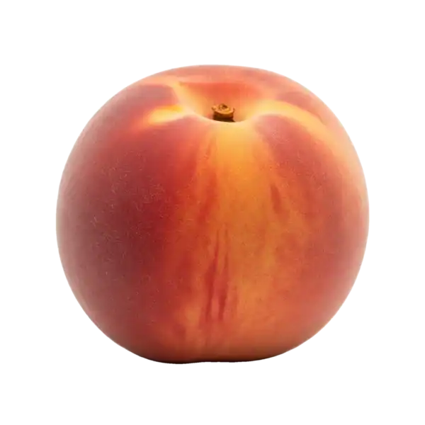 Fresh organic peach from Huerto.Bio, beautifully ripe with vibrant orange and red hues, perfect for healthy, sustainable eating.