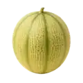 Melón