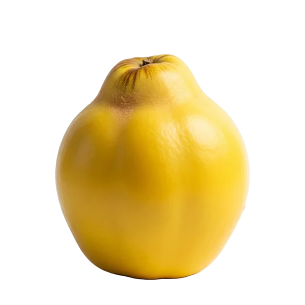 Yelow apple, organic fruit, healthy snack, fresh produce, farm-fresh organic apple from Huerto.Bio.