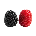 Júcuras de mora negra y frambuesa roja, frutas orgánicas y frescas, ideales para una alimentación saludable en huerto.bio.