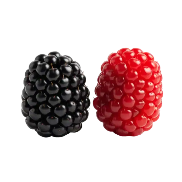 Júcuras de mora negra y frambuesa roja, frutas orgánicas y frescas, ideales para una alimentación saludable en huerto.bio.
