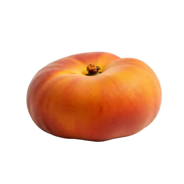 Manzana de color amarillo y rojo en fondo blanco, saludable y natural, fruta ecológica, cultivo orgánico, huerto.bio.