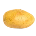 Patata