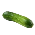 Calabacín ecológico fresco con gotas de agua, cultivo orgánico, saludable, ideal para dietas veganas y vegetarianas, producto de huerto biosostenible.