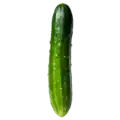 Pepino ecológico orgánico con gotas de agua, cultivo natural y saludable para una alimentación consciente y sostenible.